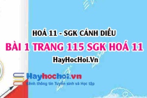 Bài 1 trang 115 SGK Hoá 11 Cánh diều